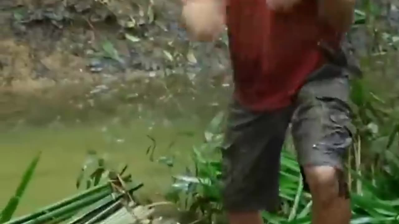 Just Watch Eel Attack