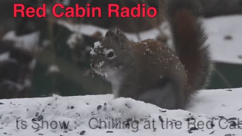 Red Cabin Radio