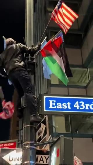Hamas supporters take down US flags on Veterans day, replace with Palestinian