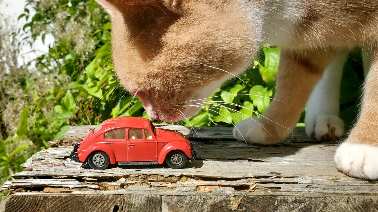 Restoring vw beetle diecast model