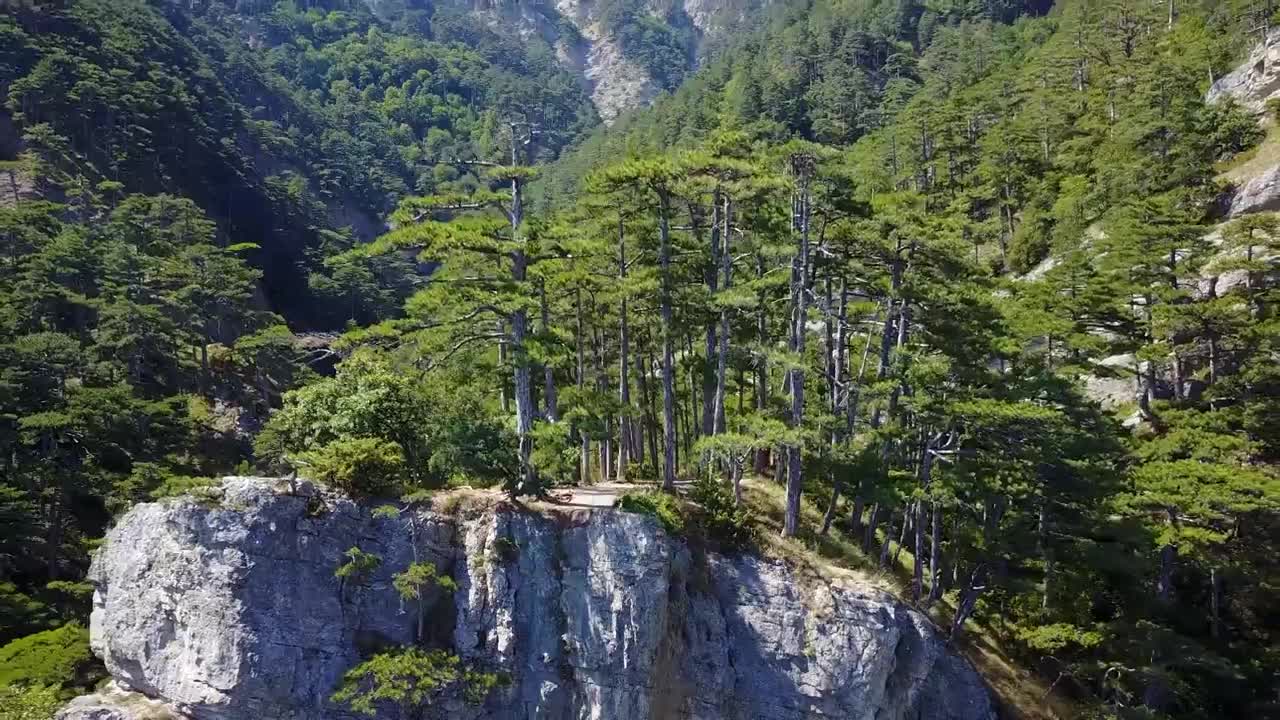 8K Videos _ Collection of World's nature UltraHD (120 FPS)