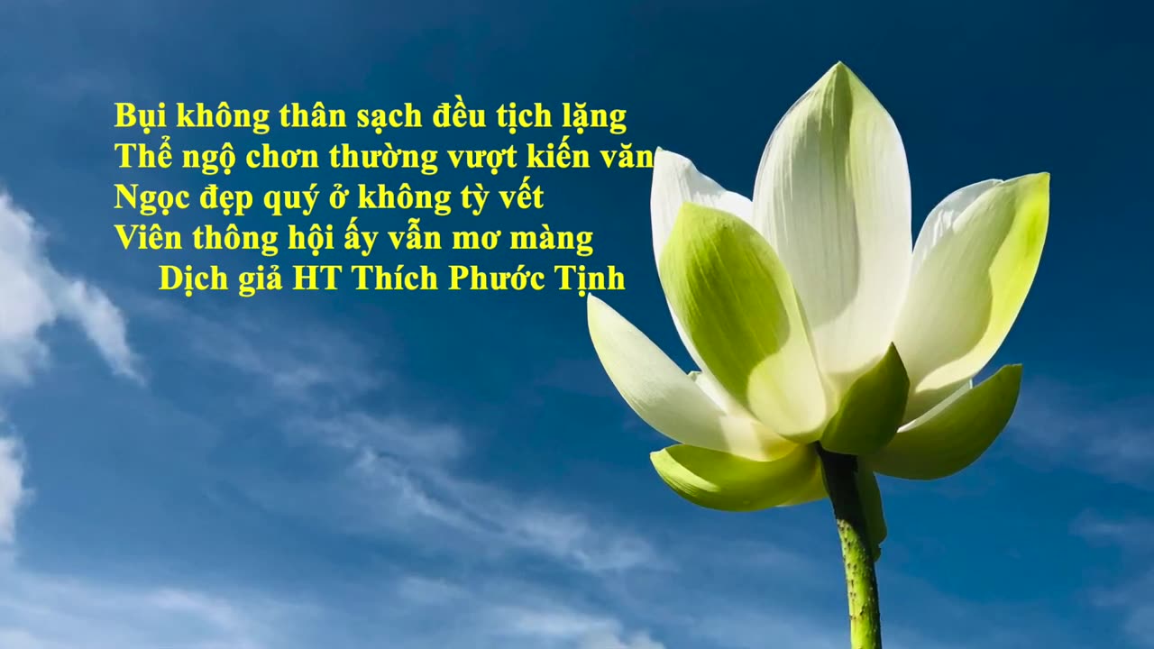 CHÍNH LÀ ANH 09_It is you