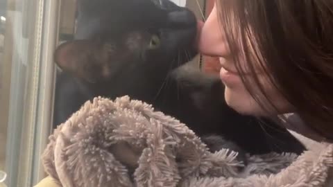 Cute cat reacts differently when kissed by mom and dad