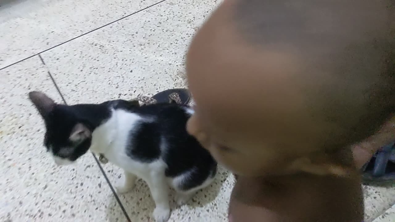 Babychild playing with cute cat