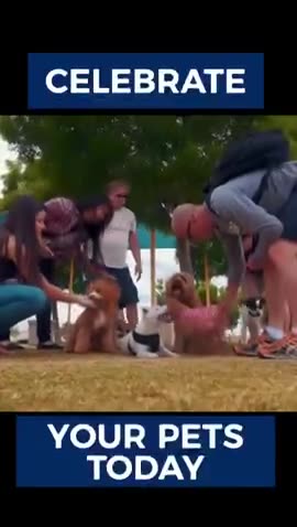 Who let the dogs out? - a barking good time at the dog park ❤️