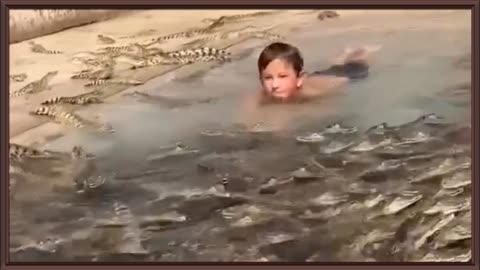 Boy Swims with Baby Crocodiles 😱😱😱👏