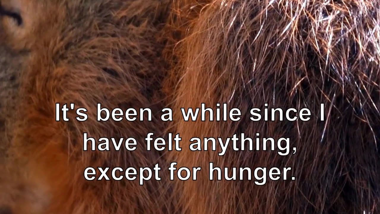 It's been a while since I have felt anything, except for hunger. I have been waiting for you.