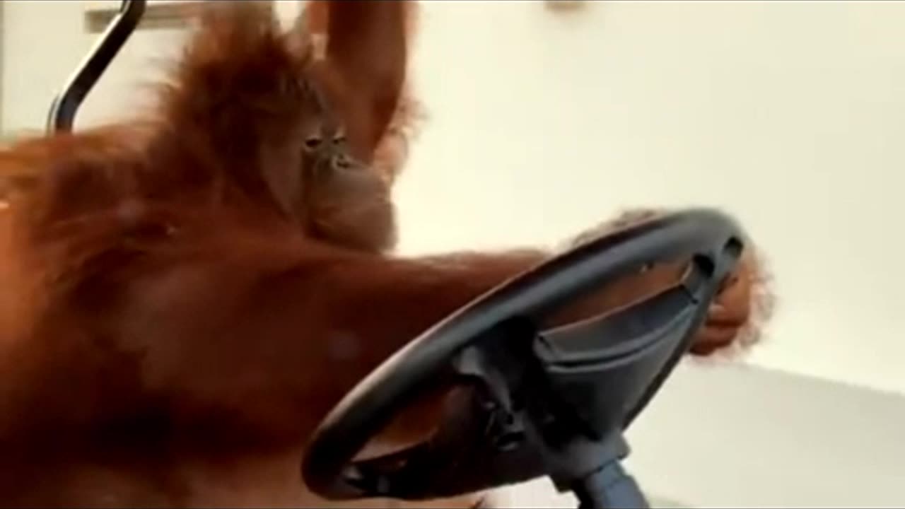 lol