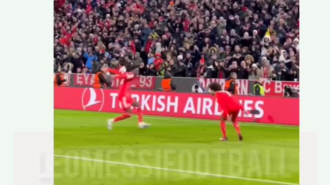 Goal Celebration Psg vs Bayern