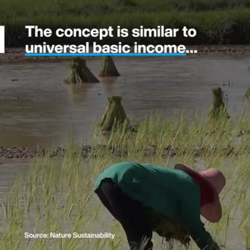 A 'conservation basic income' could help to safeguard the natural world