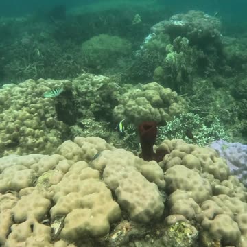 Underwater World, Amazing view