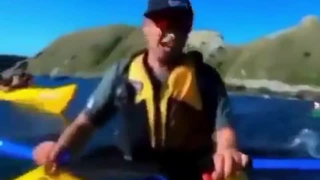 Seal Slaps Kayaker With An Octopus