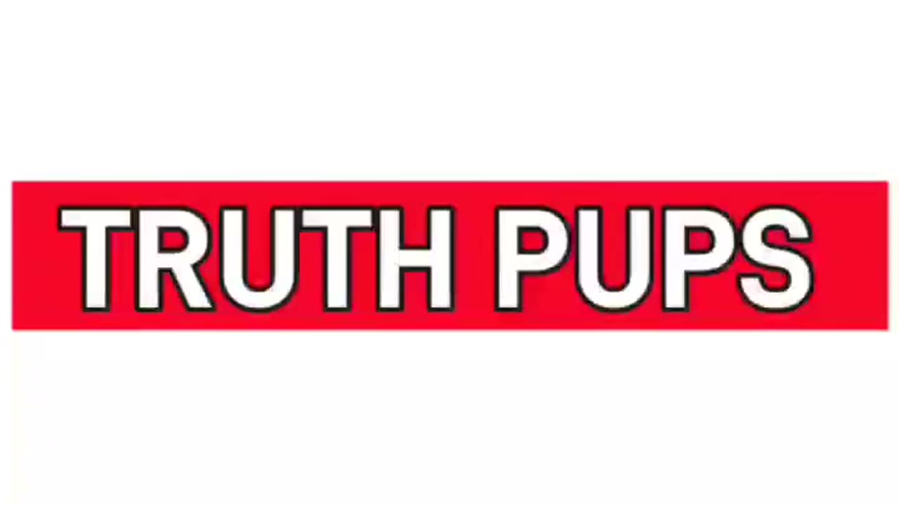 Truth Pups 🐶 Admission That USA 🇺🇸 Corp. Is DOA