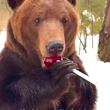 Why can't we be the masters of love