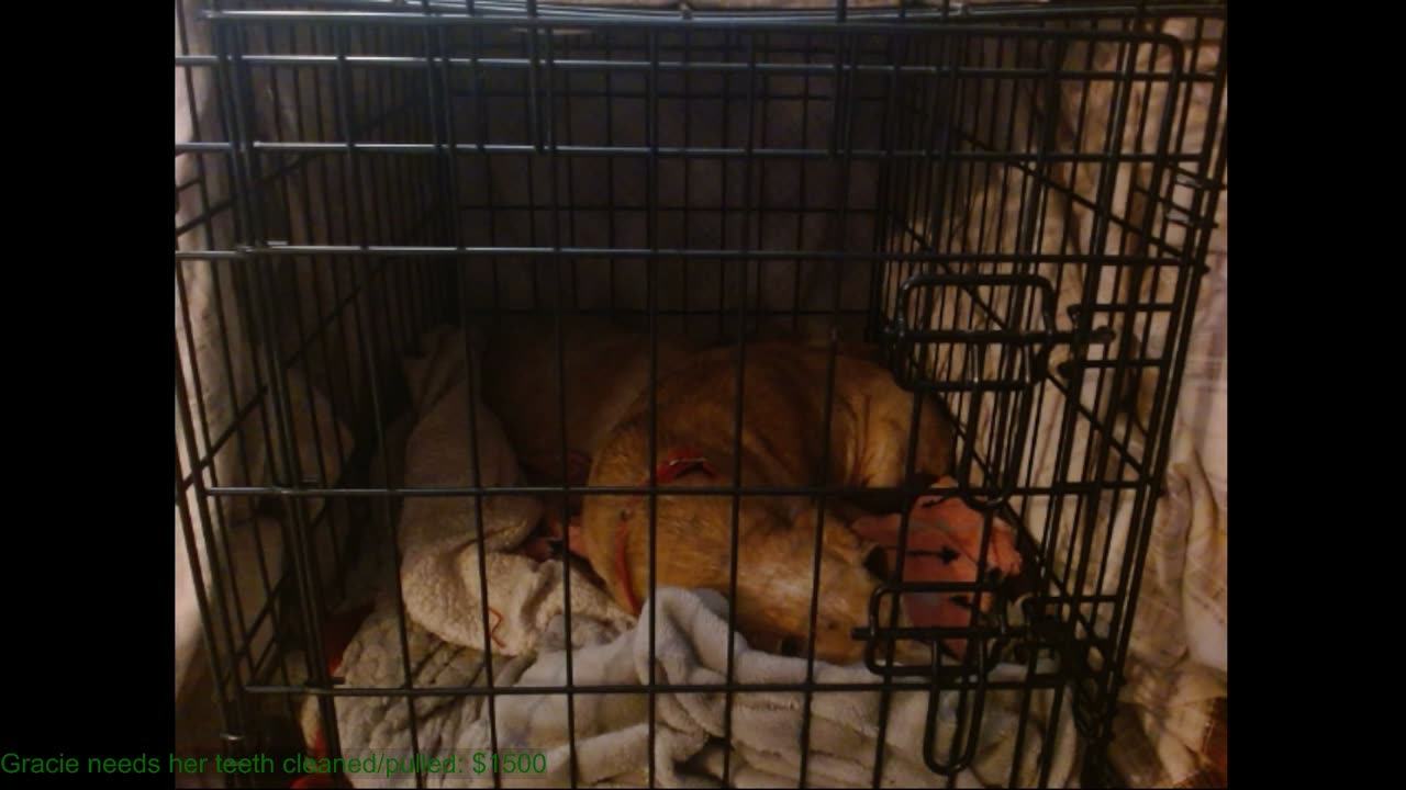 17th Weenie Stream
