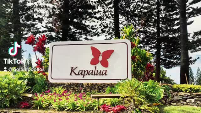 Fun Times At Kapalua Plantation Course!!!