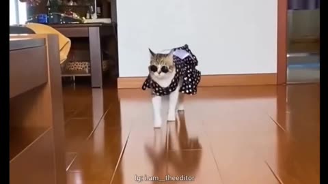 kudiyon ka nasha pyare nasha sabsa nashila hai jise dekho💃