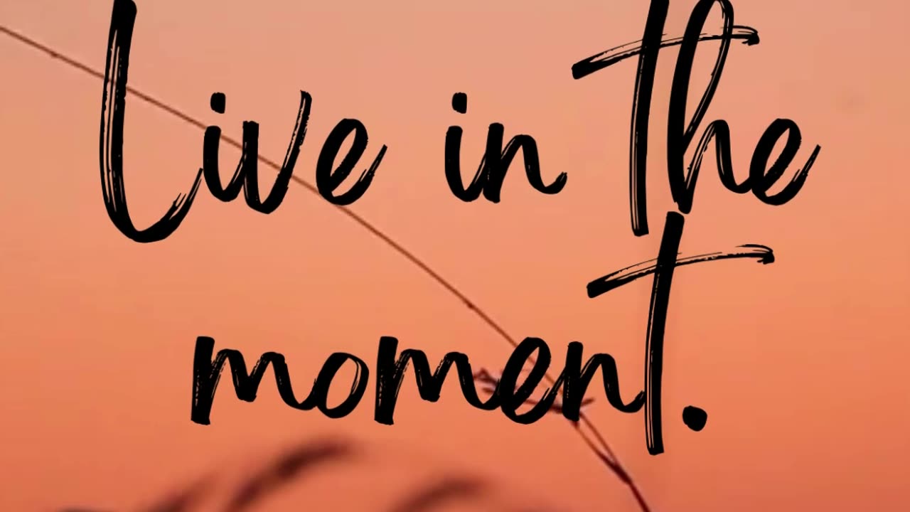 Live in the moment