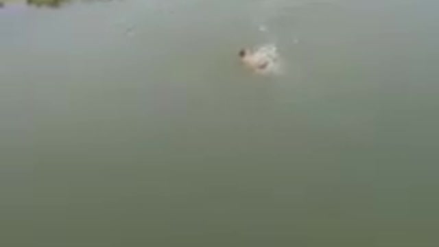 Dog saves a drowning man