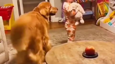 Funny Animal Videos 2023