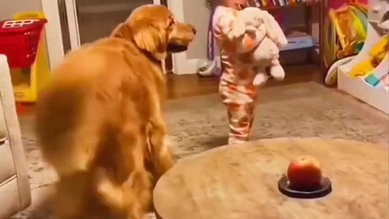Funny Animal Videos 2023