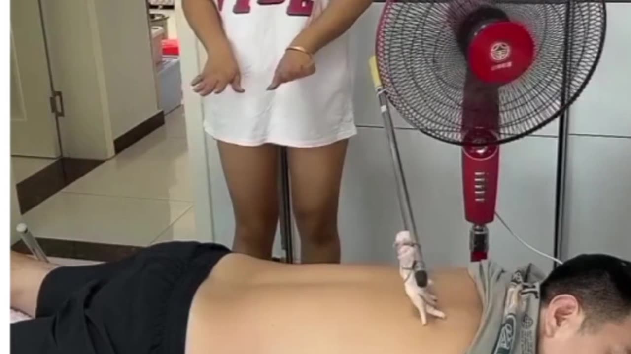 funny videos