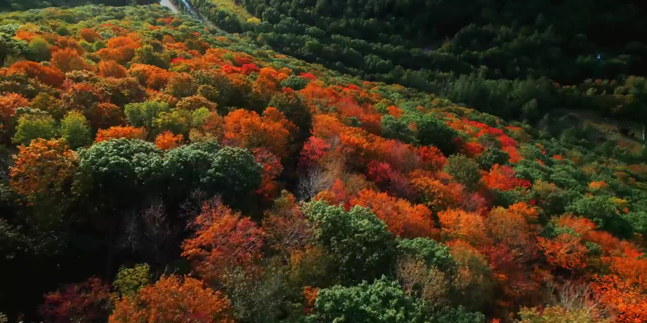 First Day of Fall 🍂 Autumn Overnight at Off Grid Riverside Cabin 🍁 Fall Foliage Adventures-1