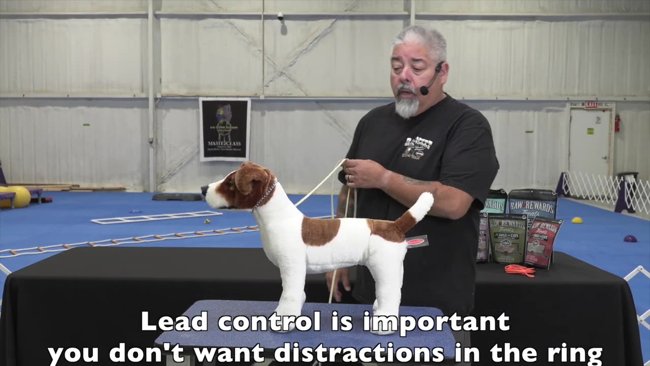 Hand Stacking Show Dogs with Eric Salas