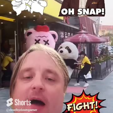 panda fight oh snap