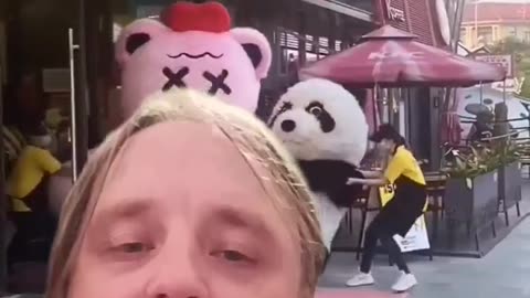 panda fight oh snap