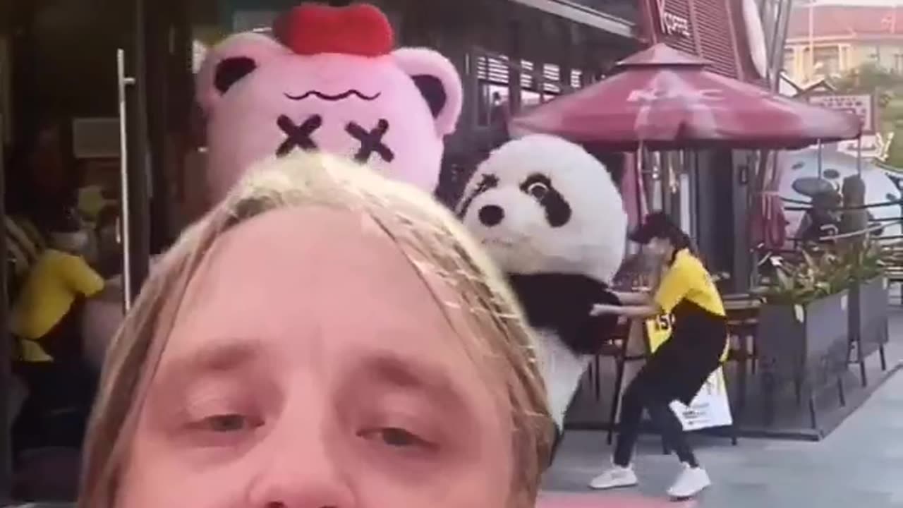 panda fight oh snap
