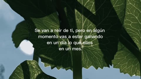 Frases motivación 🌛