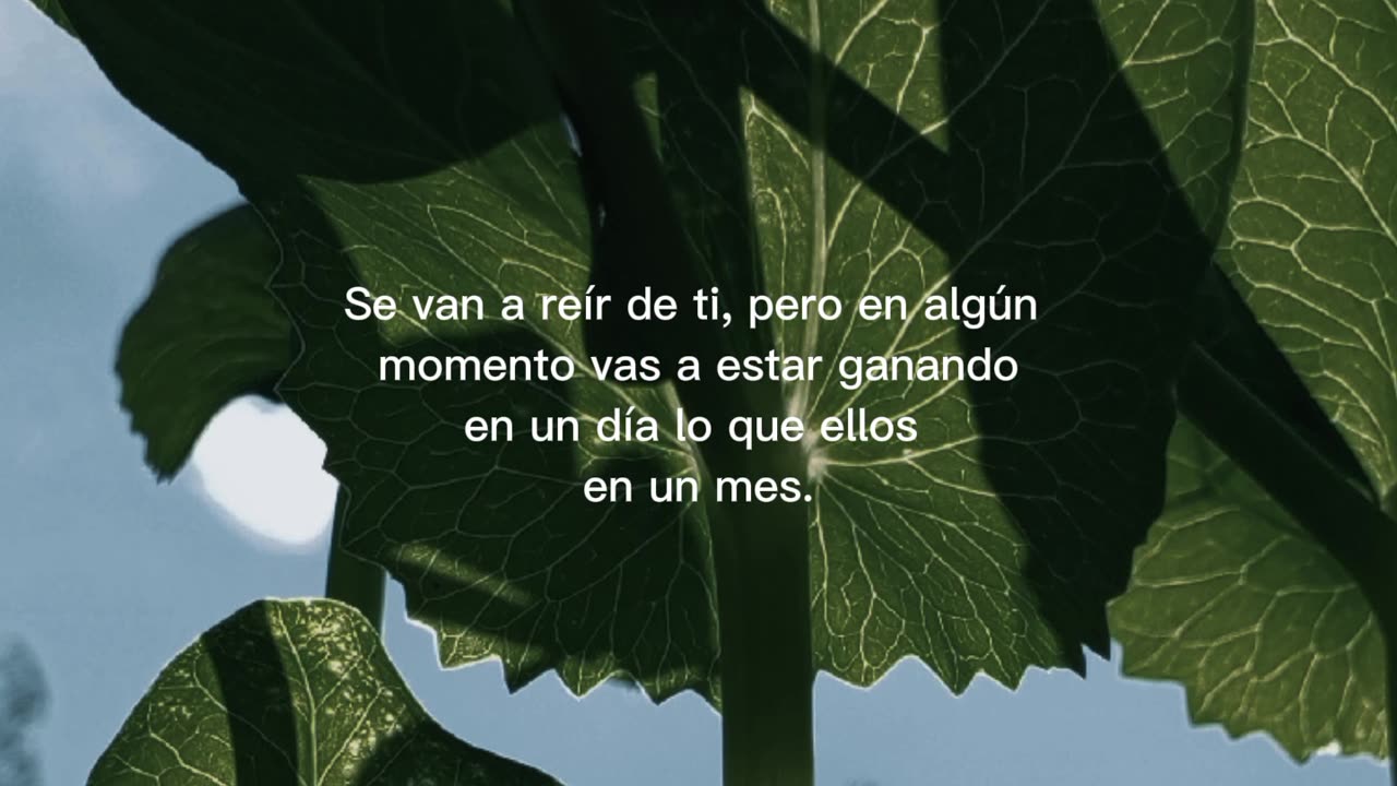 Frases motivación 🌛