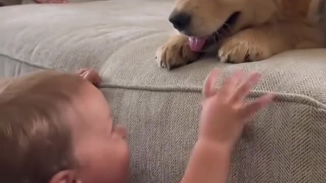 Baby Kisses Puppy