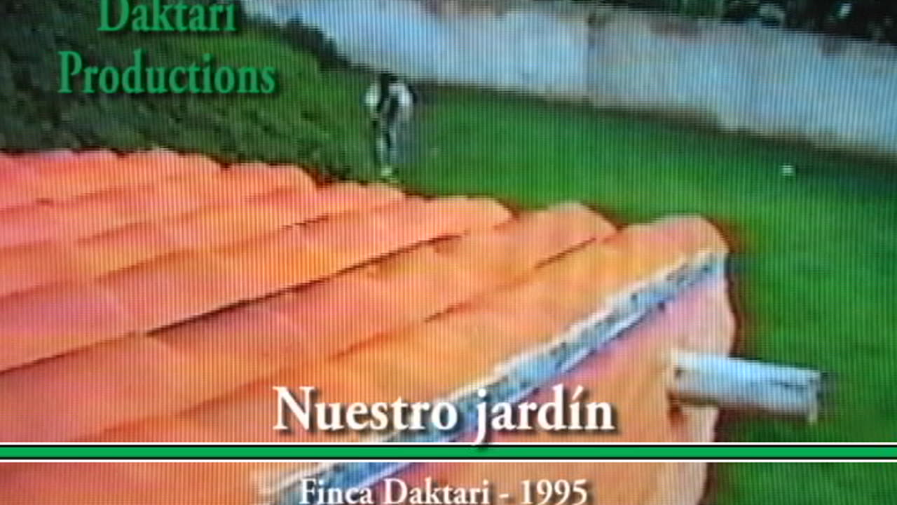 1995 M08 Nuestro jardín de Daktari II