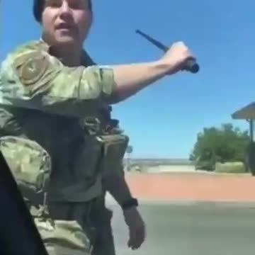 🚨 Woman Forces Her Way Into Military Base, Window Smashed by Security