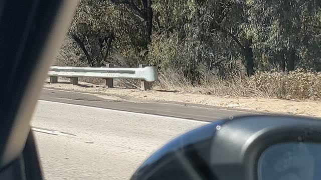 Following an Alleged Hit-and-Run Driver