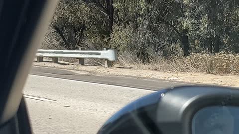 Following an Alleged Hit-and-Run Driver