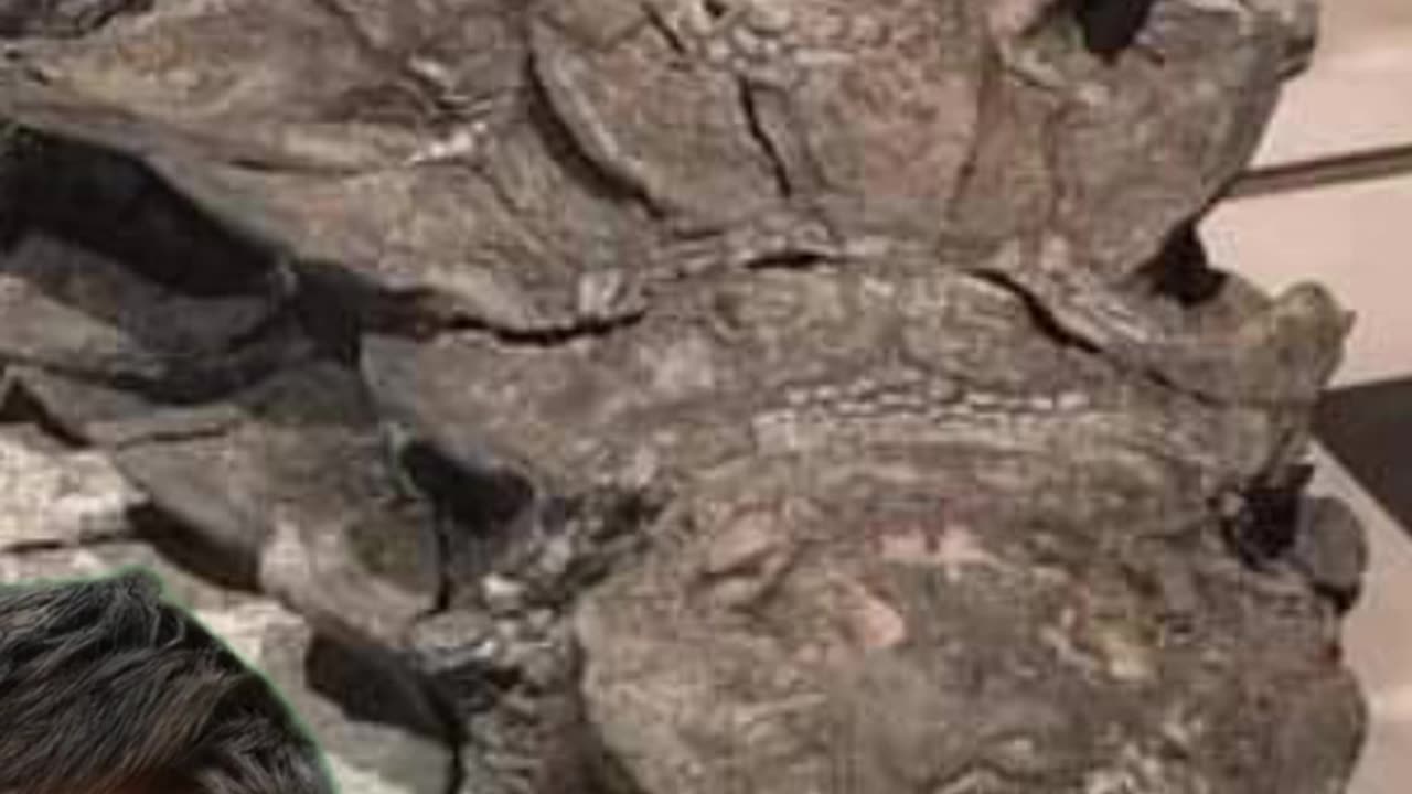110 million years old dinosaur! #viral #youtubeshorts #dinosaur #history #usa #uk #canada #france