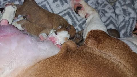 Feeding time