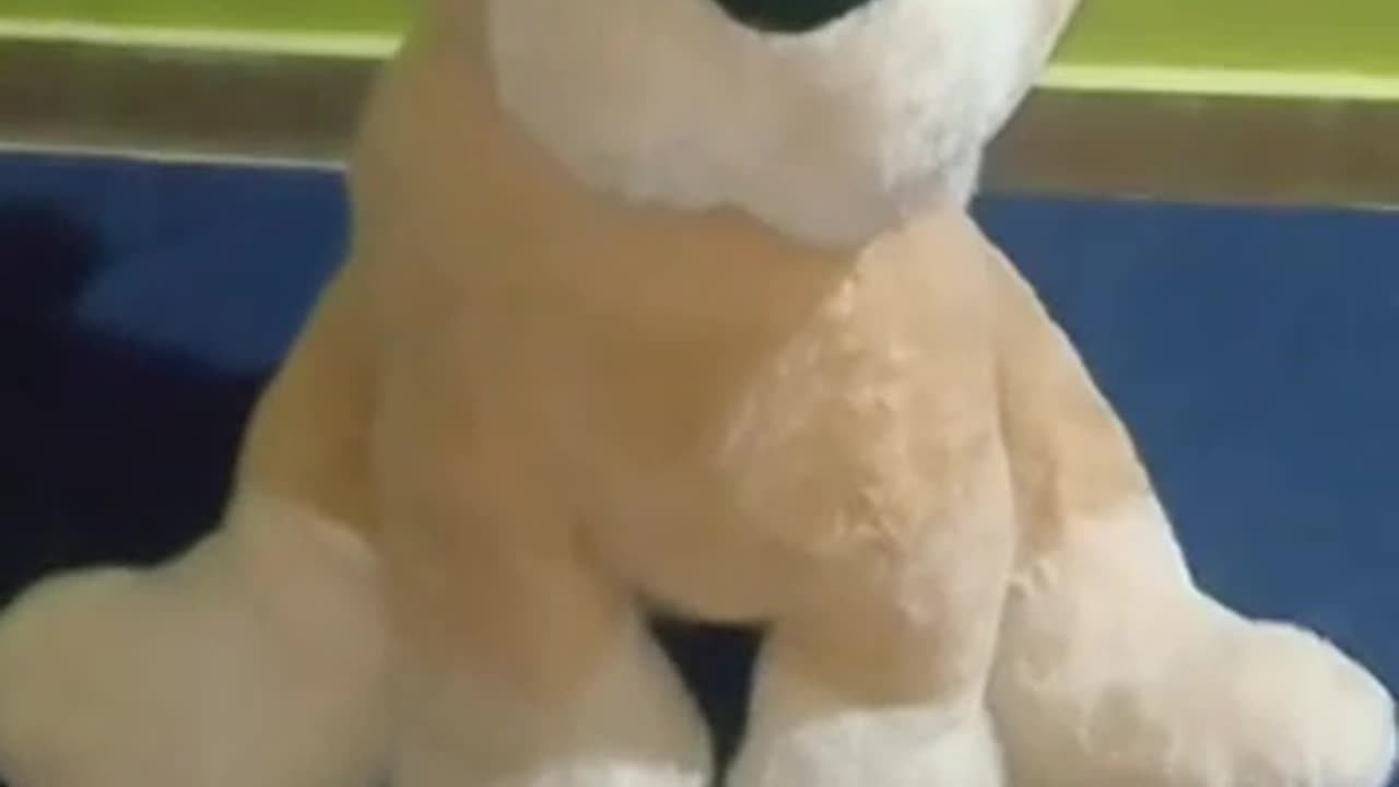 Dog Puppy Stuffed Soft Toy For Kids