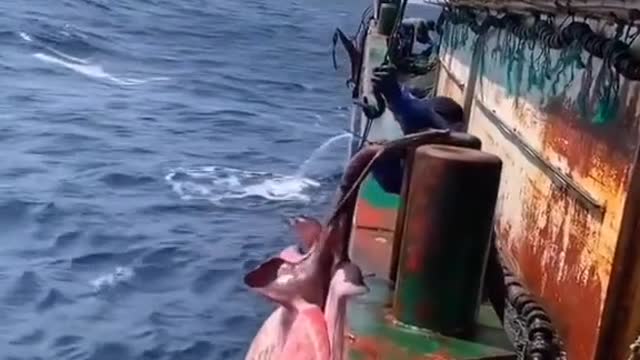 How do you feel about this oceans #Sustainable #