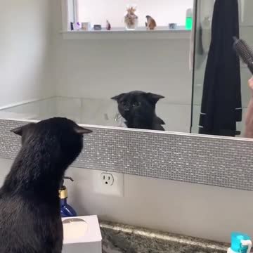 Who is that in the mirror?