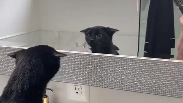 Who is that in the mirror?
