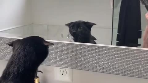 Who is that in the mirror?