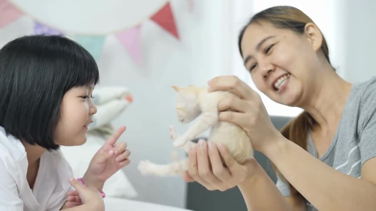 Lovely little Asian girl and mother playing with tabby kitten