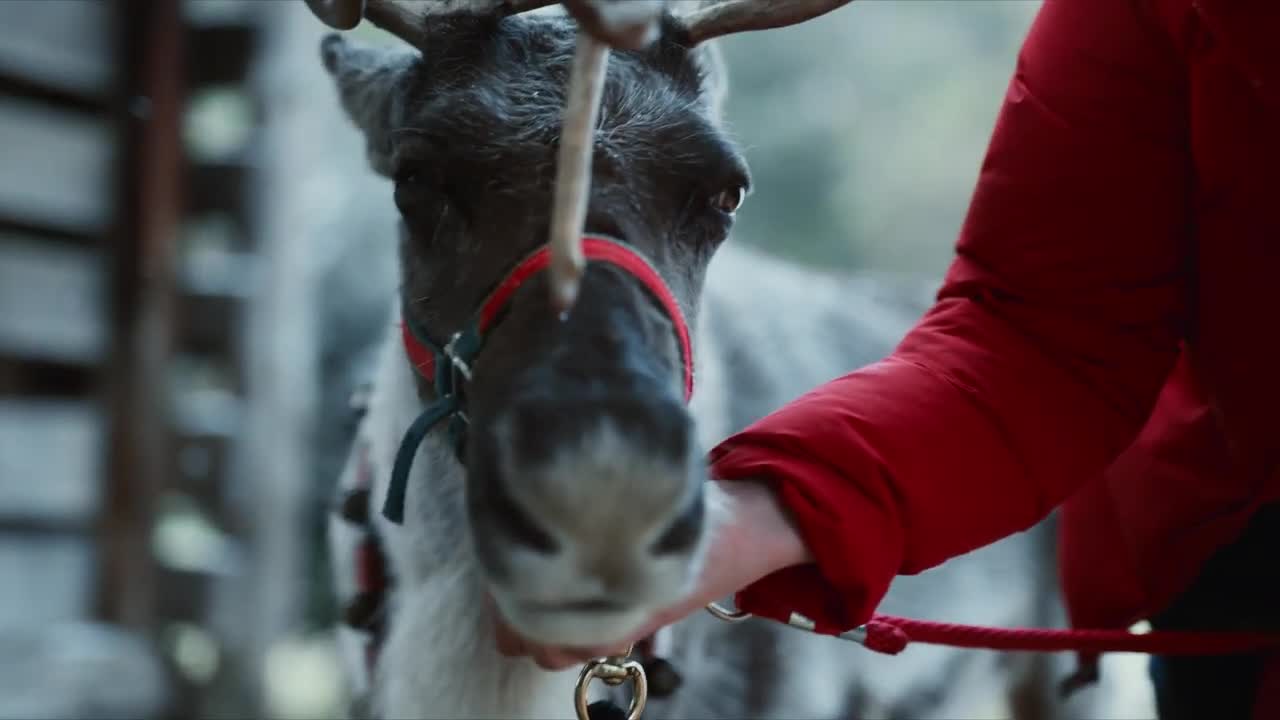 Duluth Trading TV Commercial Merry Motivation 30