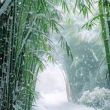 masahallah_islamic_short_shorts_status_islamicstatus