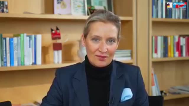 Alice Weidel (AfD) - Diese Aussage der Bundesregierung hat Sprengkraft!