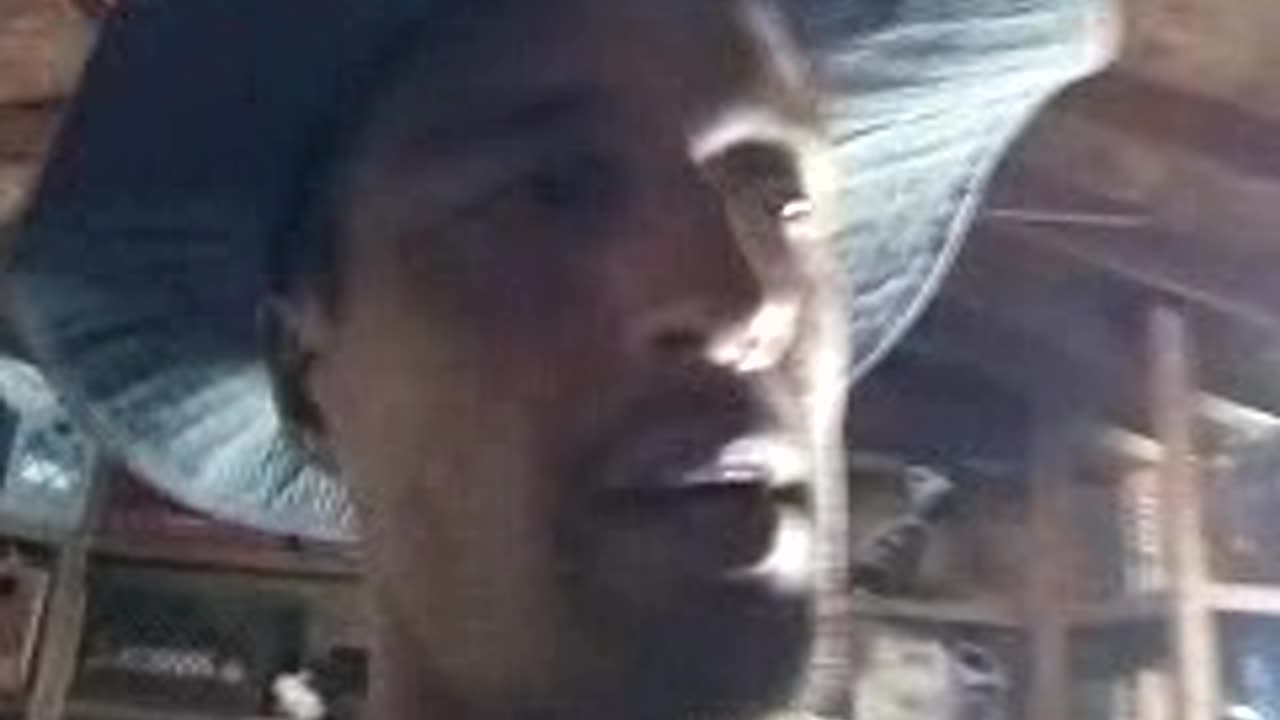 10:48am, SHEARS = THE COCOA.